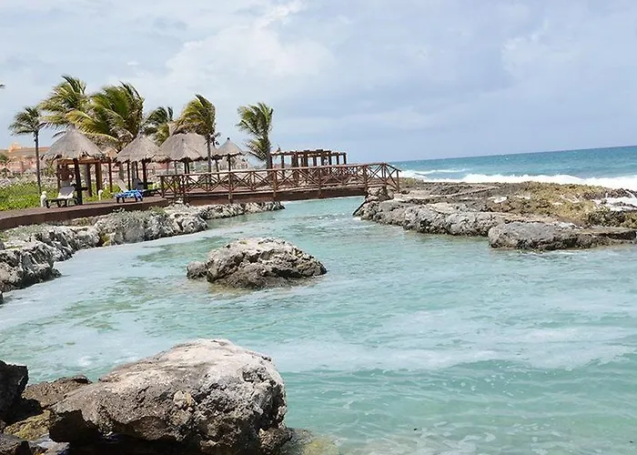 Coral Maya